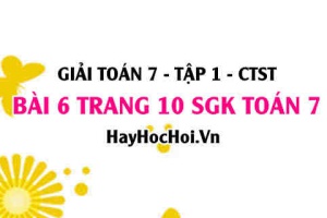 Giải bài 6 trang 10 Toán 7 Tập 1 SGK Chân trời sáng tạo